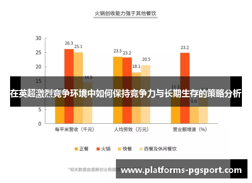 在英超激烈竞争环境中如何保持竞争力与长期生存的策略分析