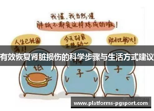 有效恢复肾脏损伤的科学步骤与生活方式建议