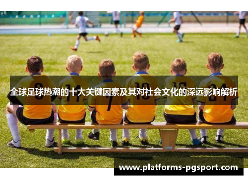 全球足球热潮的十大关键因素及其对社会文化的深远影响解析
