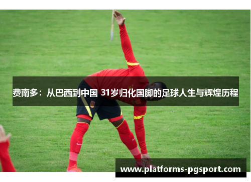 费南多:从巴西到中国 31岁归化国脚的足球人生与辉煌历程 费南多:从巴西到中国 31岁归化国脚的足球人生与辉煌历程