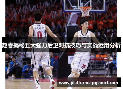赵睿揭秘五大强力后卫对抗技巧与实战运用分析 赵睿揭秘五大强力后卫对抗技巧与实战运用分析