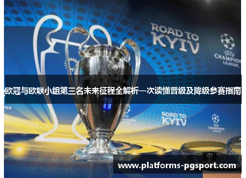 欧冠与欧联小组第三名未来征程全解析一次读懂晋级及降级参赛指南