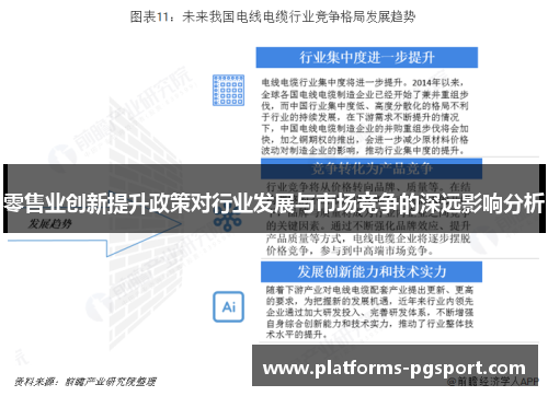 零售业创新提升政策对行业发展与市场竞争的深远影响分析