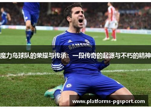 魔力鸟球队的荣耀与传承：一段传奇的起源与不朽的精神