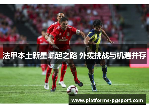 法甲本土新星崛起之路 外援挑战与机遇并存